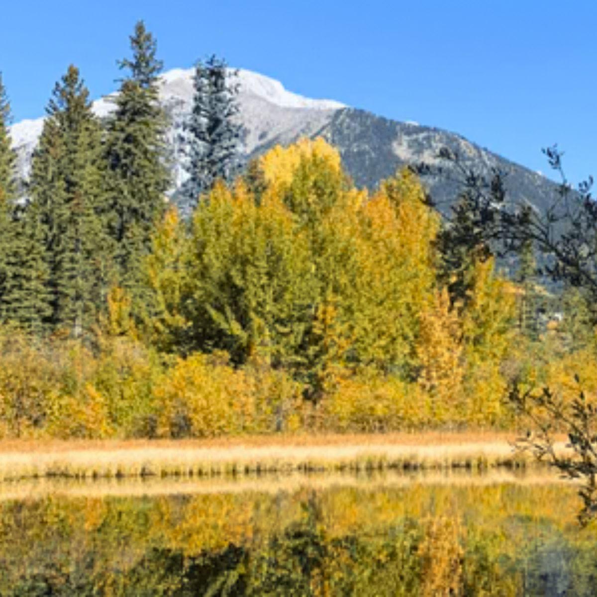 Fall equinox in the mountains — Mabon rituals, crystals and balance