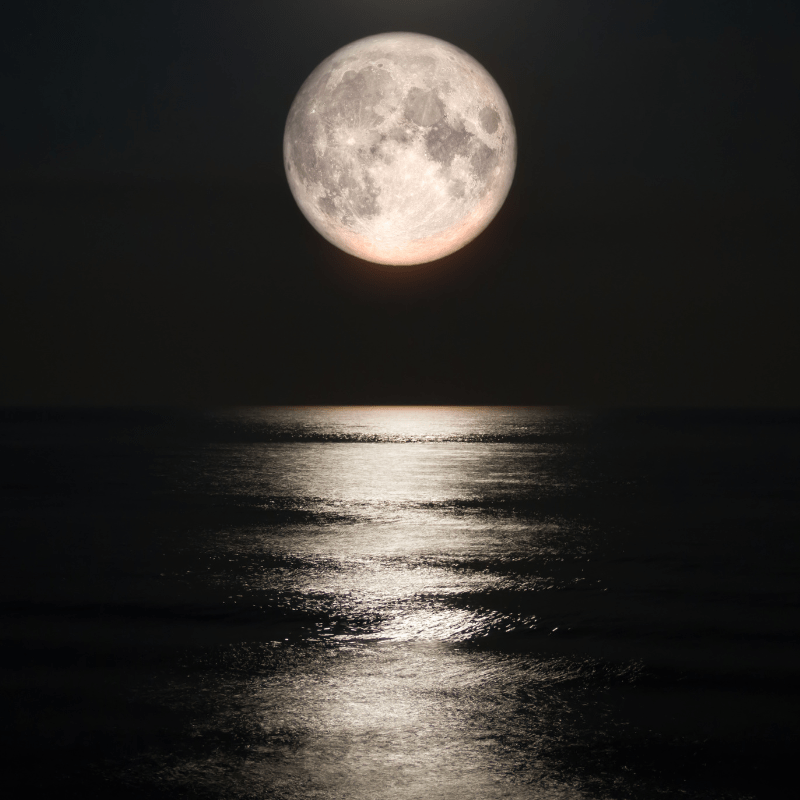 Wolf Moon Ritual Guide: January's Full Moon Meaning + Crystals