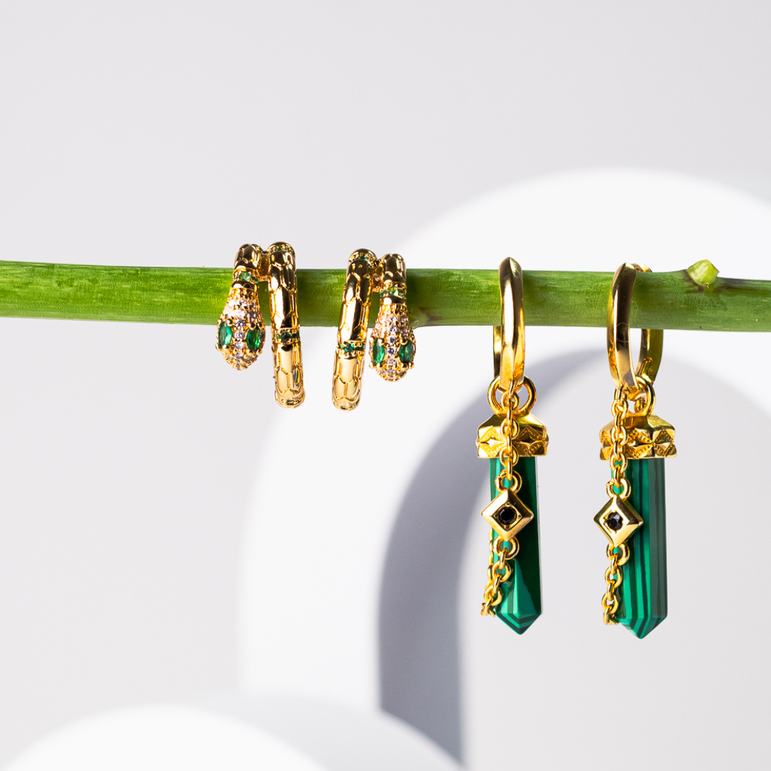 Snake & Dragonfly: Symbols of Change, Light, and Becoming