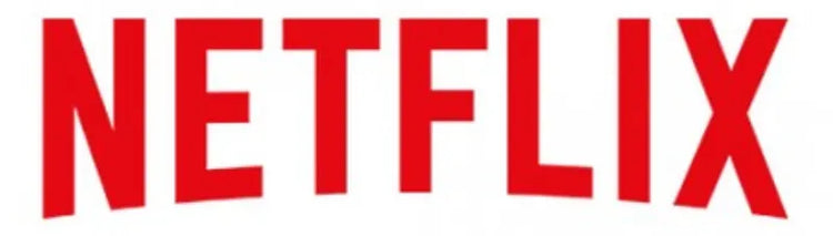 Netflix logo — Mystic Soul Jewelry featured in Wu Assassins on Netflix