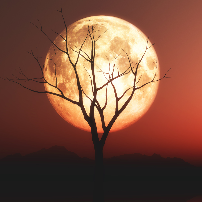 Blood Moon 2026 total lunar eclipse red moon in night sky