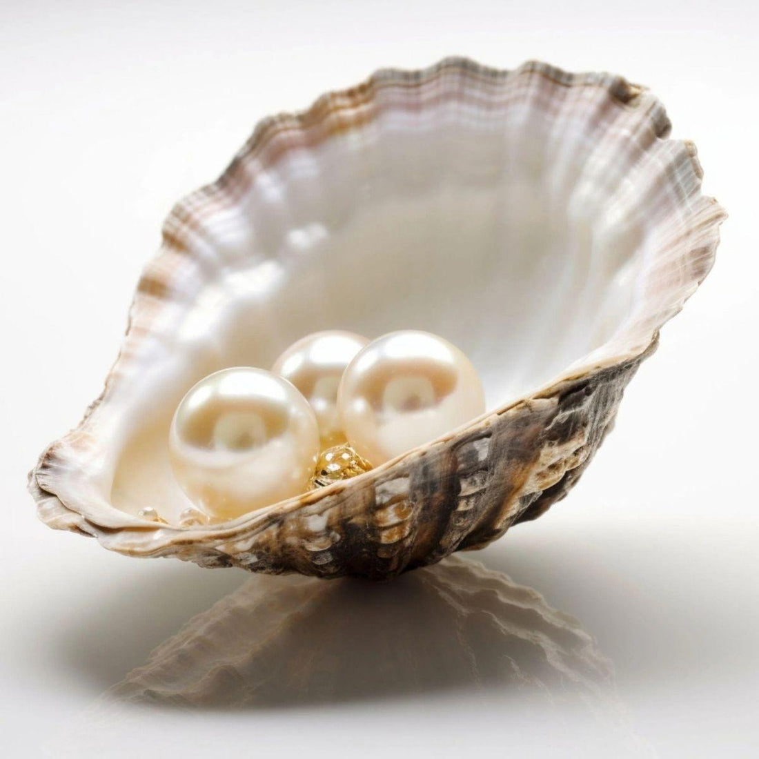 Pearl — the June birthstone, with its soft glow