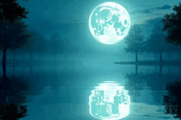 gif full moon reelecting in blue water with trees