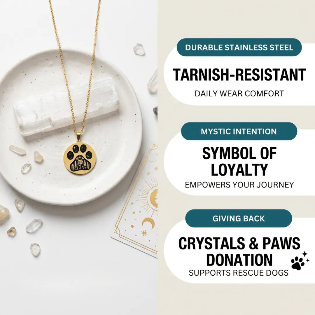 Necklace with paw print pendant on a white plate with crystals, on a light background.
