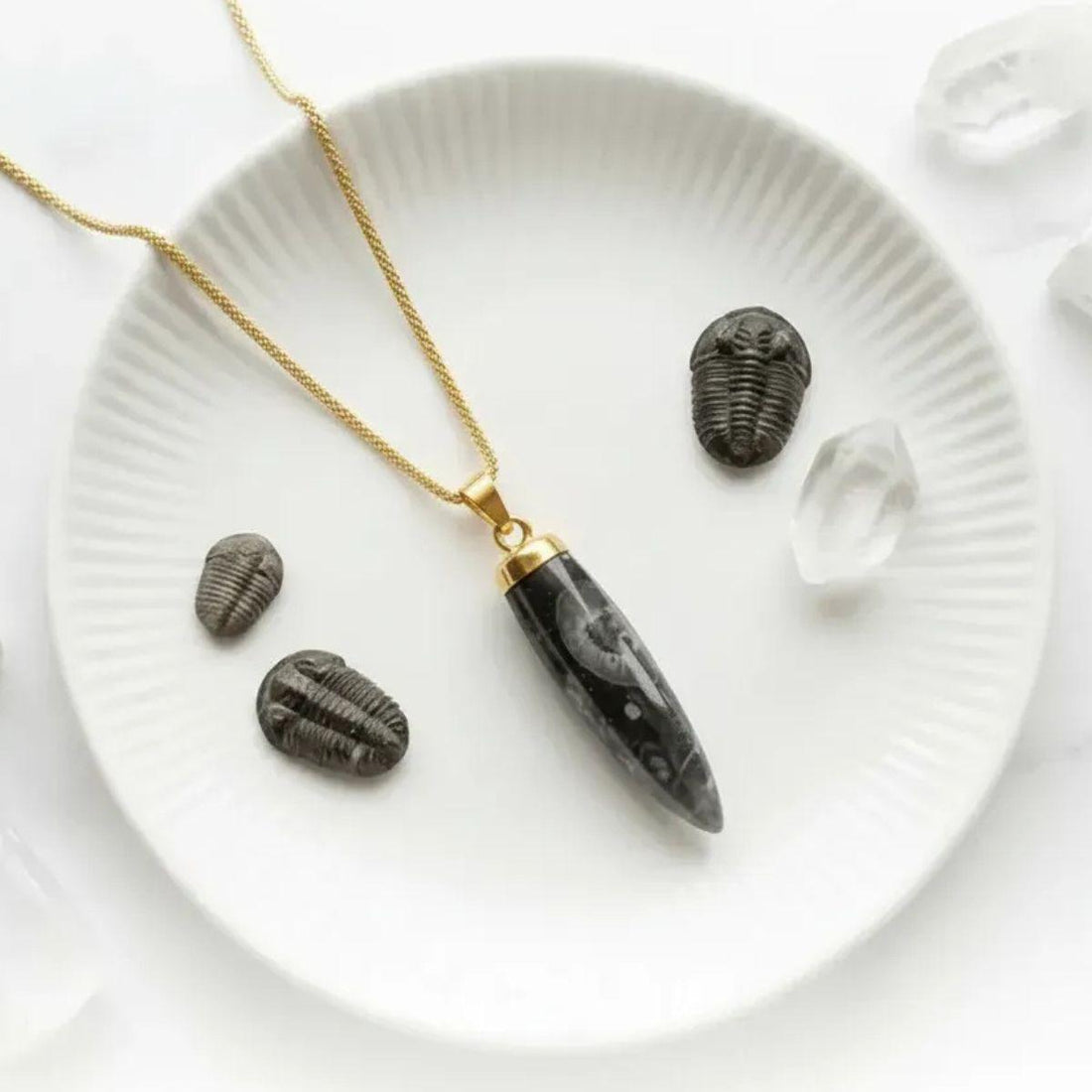 Gold orthoceras fossil pendant necklace with fossils — earth element necklace for grounding