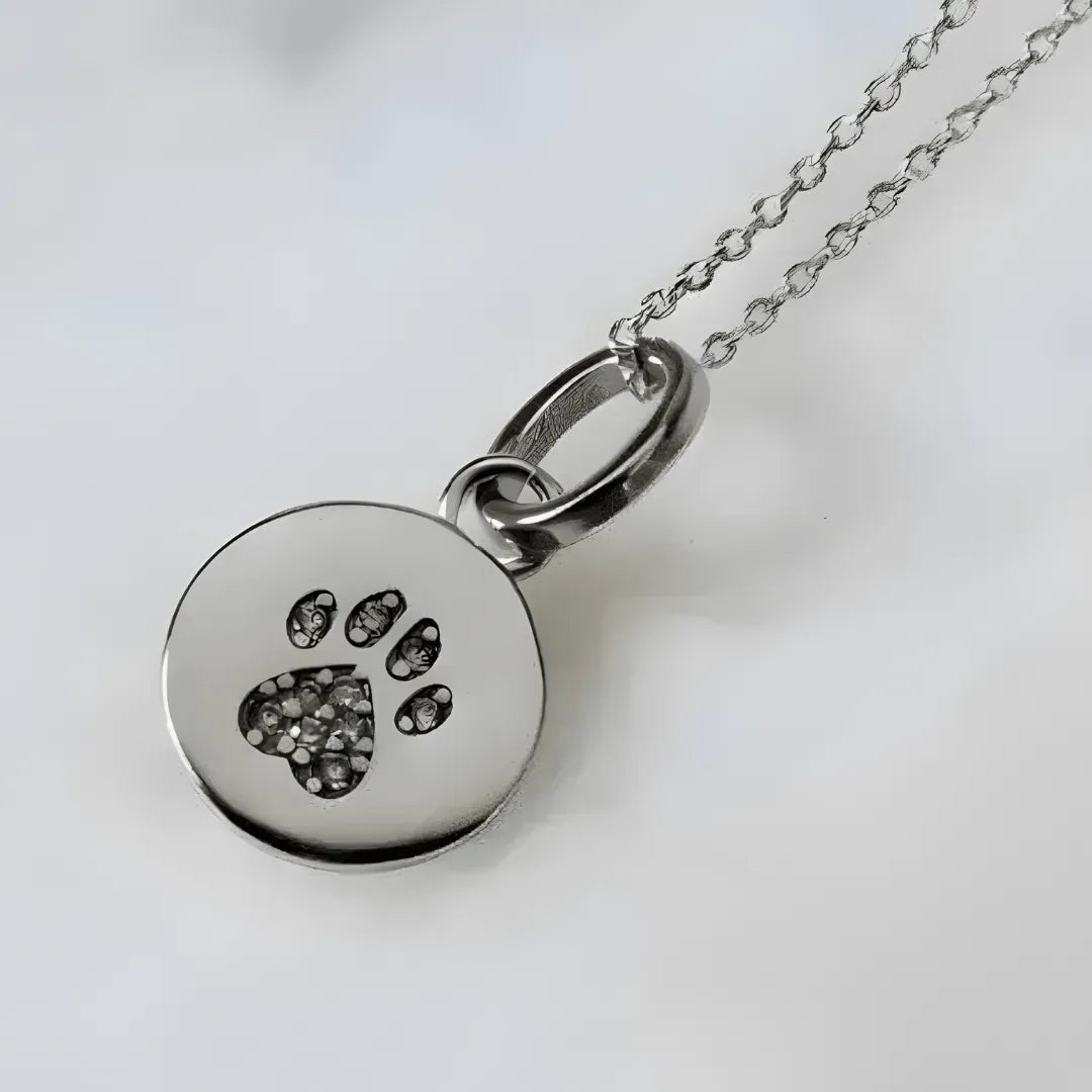 Silver necklace with a round pendant featuring a paw print design on a light gray background
