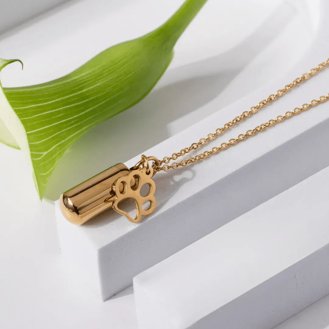 Gold necklace with paw print pendant on a white surface with a green leaf