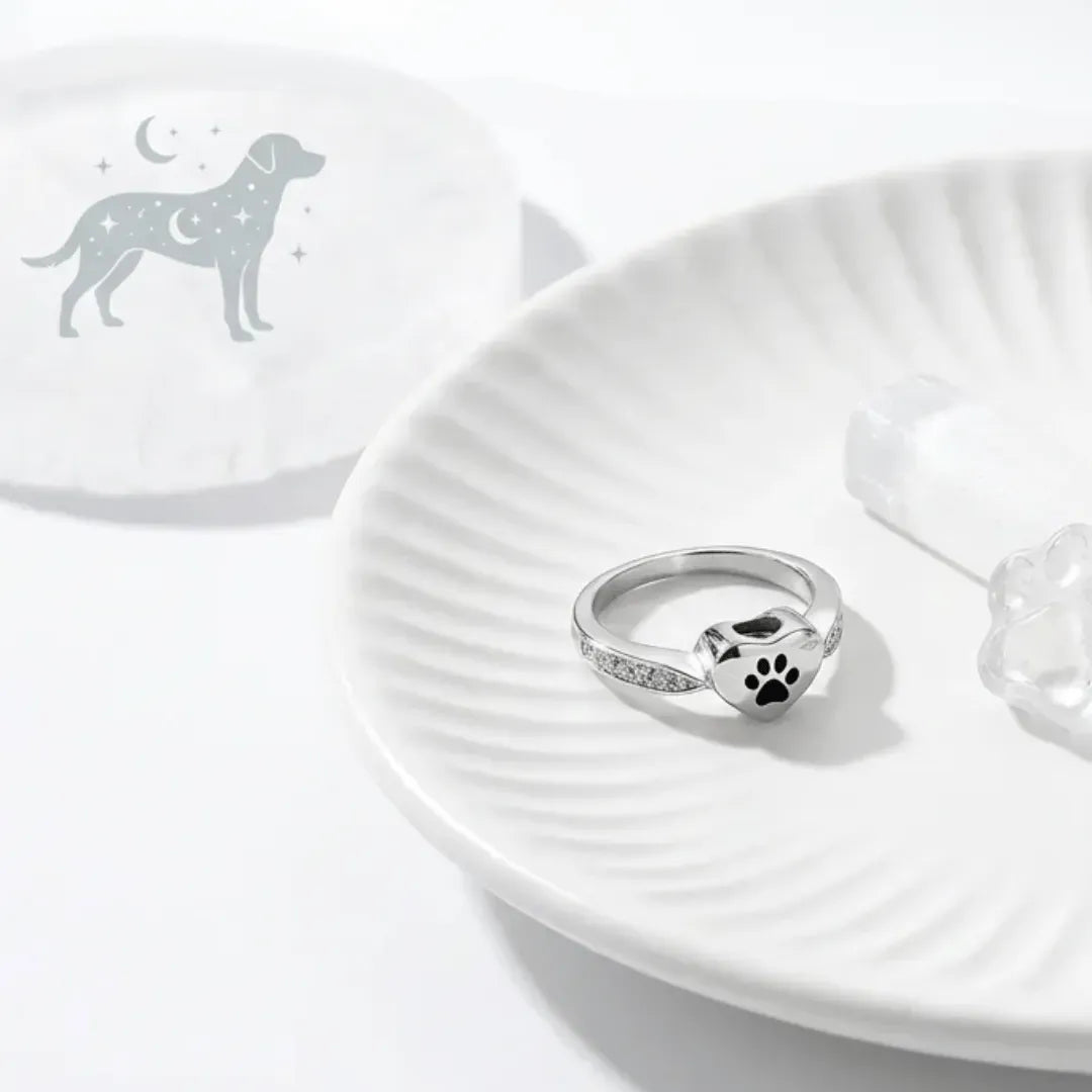 Silver ring with paw print design on a white dish with a dog illustration in the background.