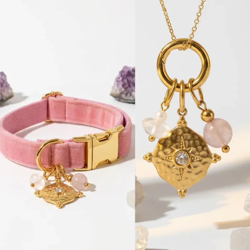 Pink dog collar with gold hardware and charms on a white background