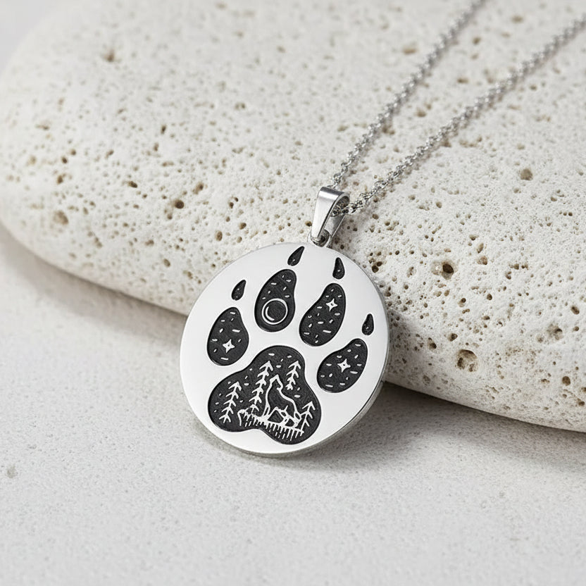 Silver necklace with a paw print pendant on a black background
