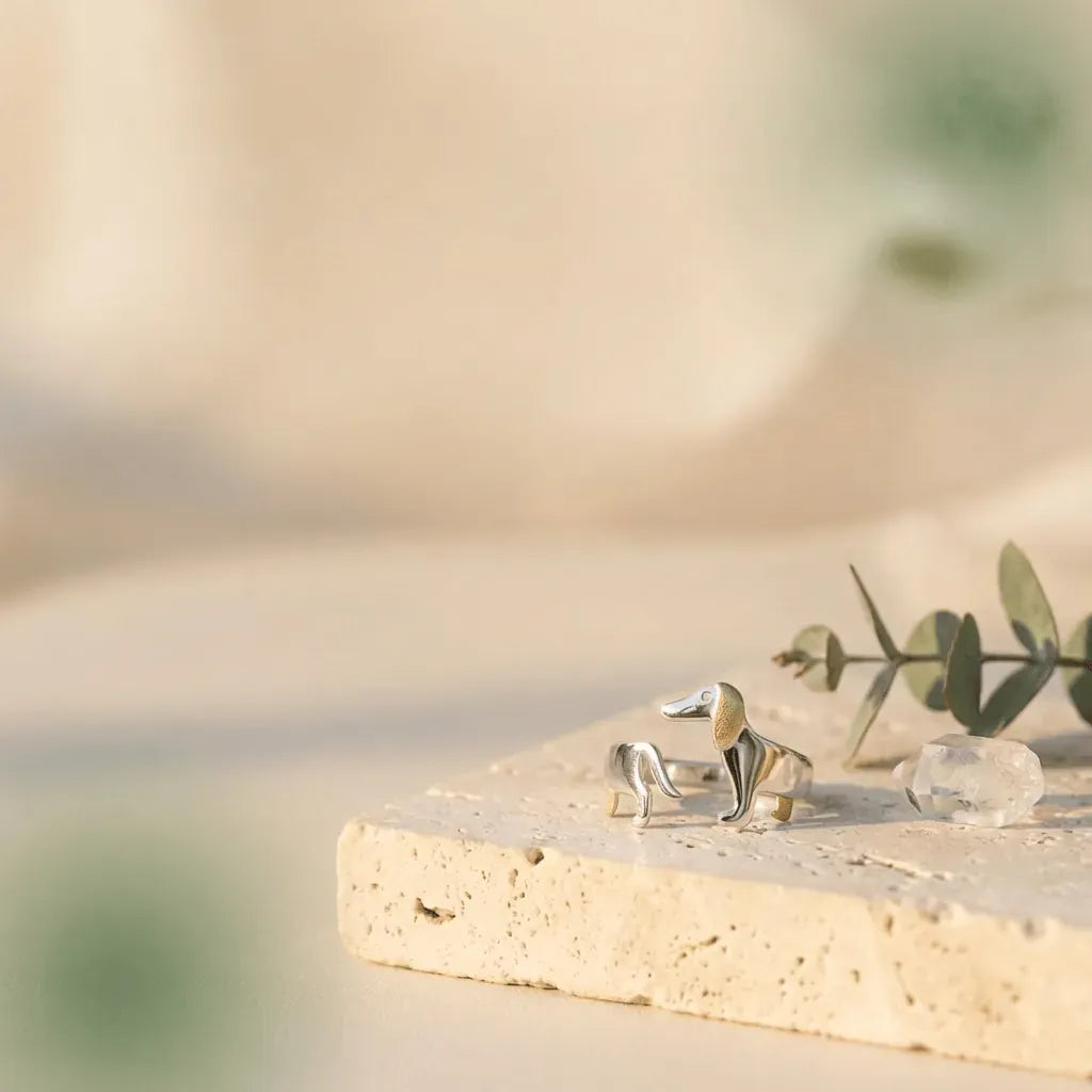 Silver ring on a stone surface with a blurred natural background