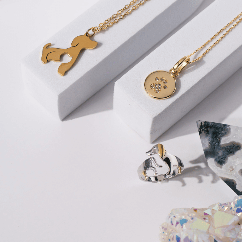 Dog & Cat Bond Necklace | Pet Love Pendant | Mystic Soul Jewelry