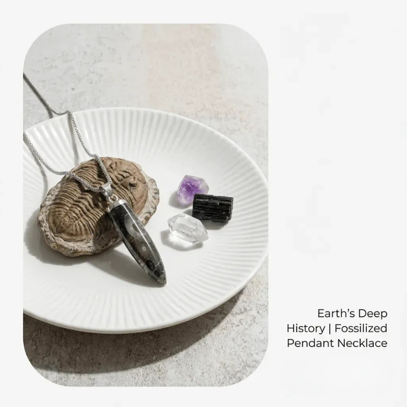 Fossilized pendant necklace on a white plate with crystals, displayed on a textured surface.