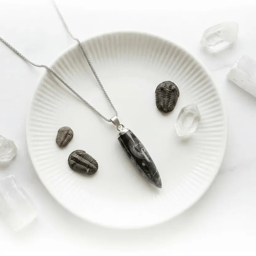 Necklace with a black pendant on a white plate surrounded by crystals