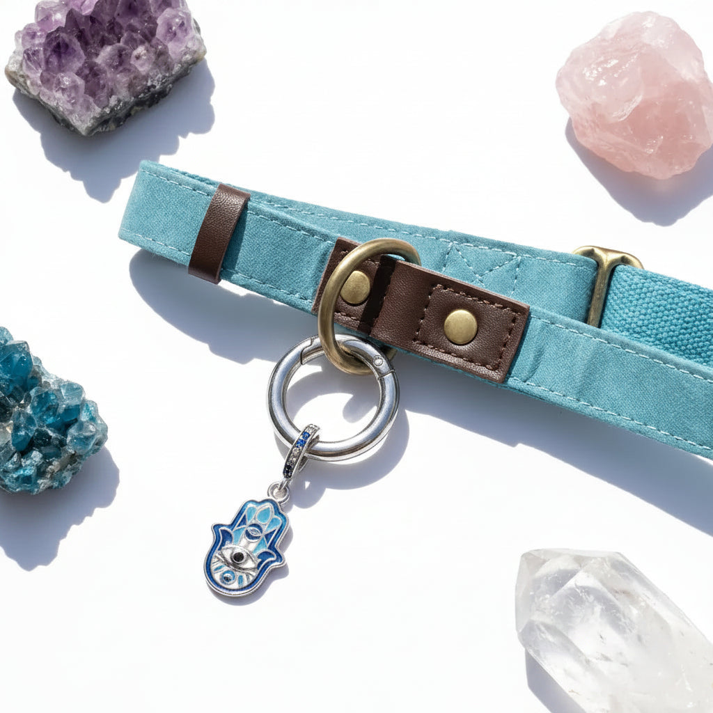 Sterling silver hamsa charm clipped to a blue dog collar ring
