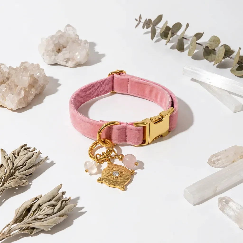 Pink dog collar with gold hardware and charms on a white background with crystals and plants.