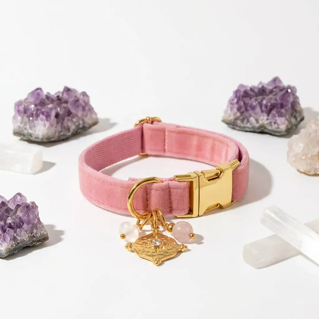 Pink dog collar with gold hardware and charms on a white background with amethyst crystals.