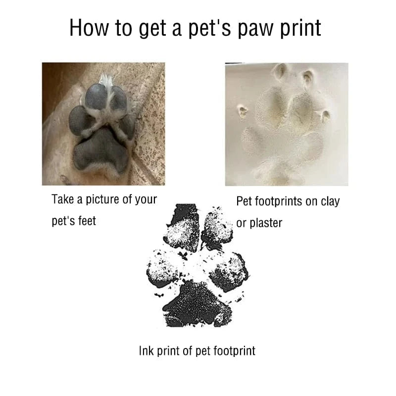 Step-by-step guide on how to get a pet's paw print with images and text.