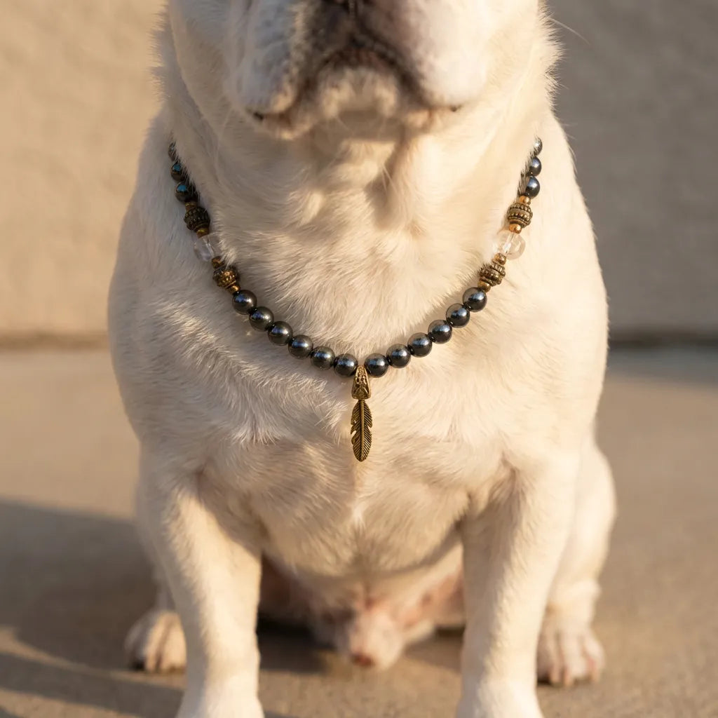 Dog wearing a beaded necklace with a feather charm on a sandy background