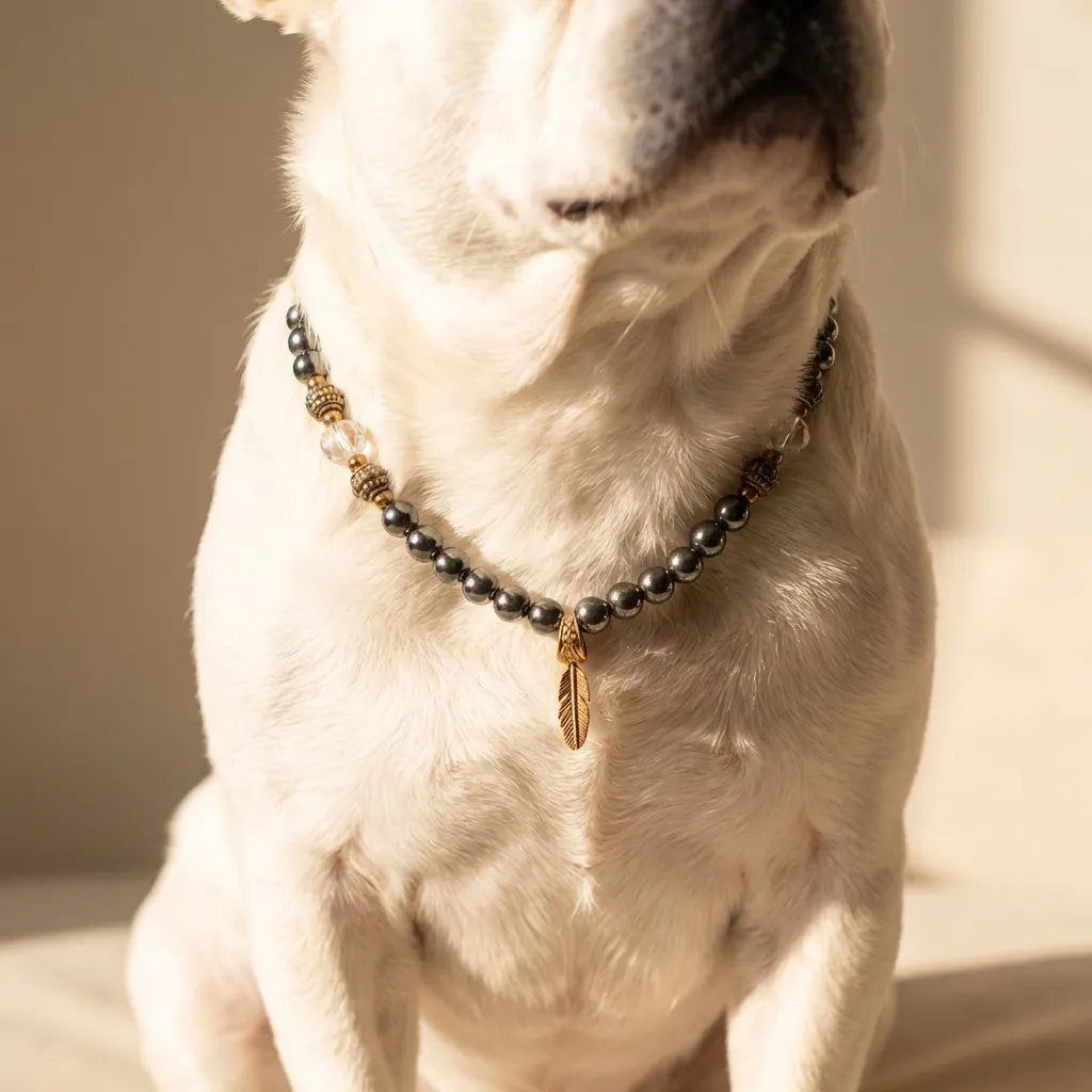 Dog wearing a beaded necklace with a feather charm on a neutral background