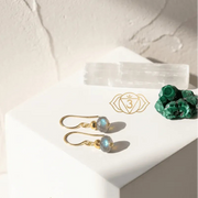 Labradorite drop earrings with packaging on a light background