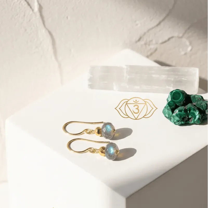 Labradorite drop earrings with packaging on a light background