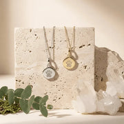Silver and gold crystal paw print necklaces with crystals — crystal necklace for pet love