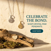 Three necklaces with pendants on a stone surface, with text encouraging shopping for crystal paw pendants.