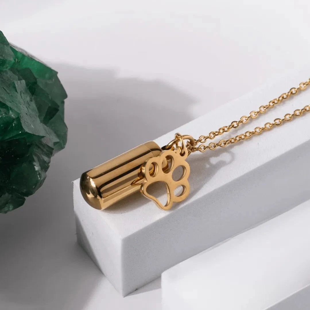 Gold necklace with paw print pendant on a white surface