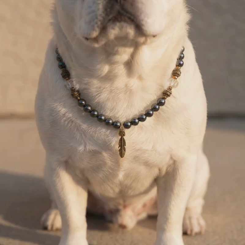 juniper_gemstone_feather_dog_collar