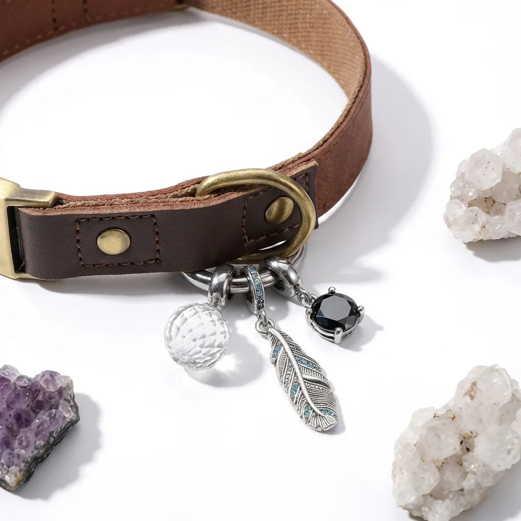 Brown leather dog collar with decorative charms on a white background