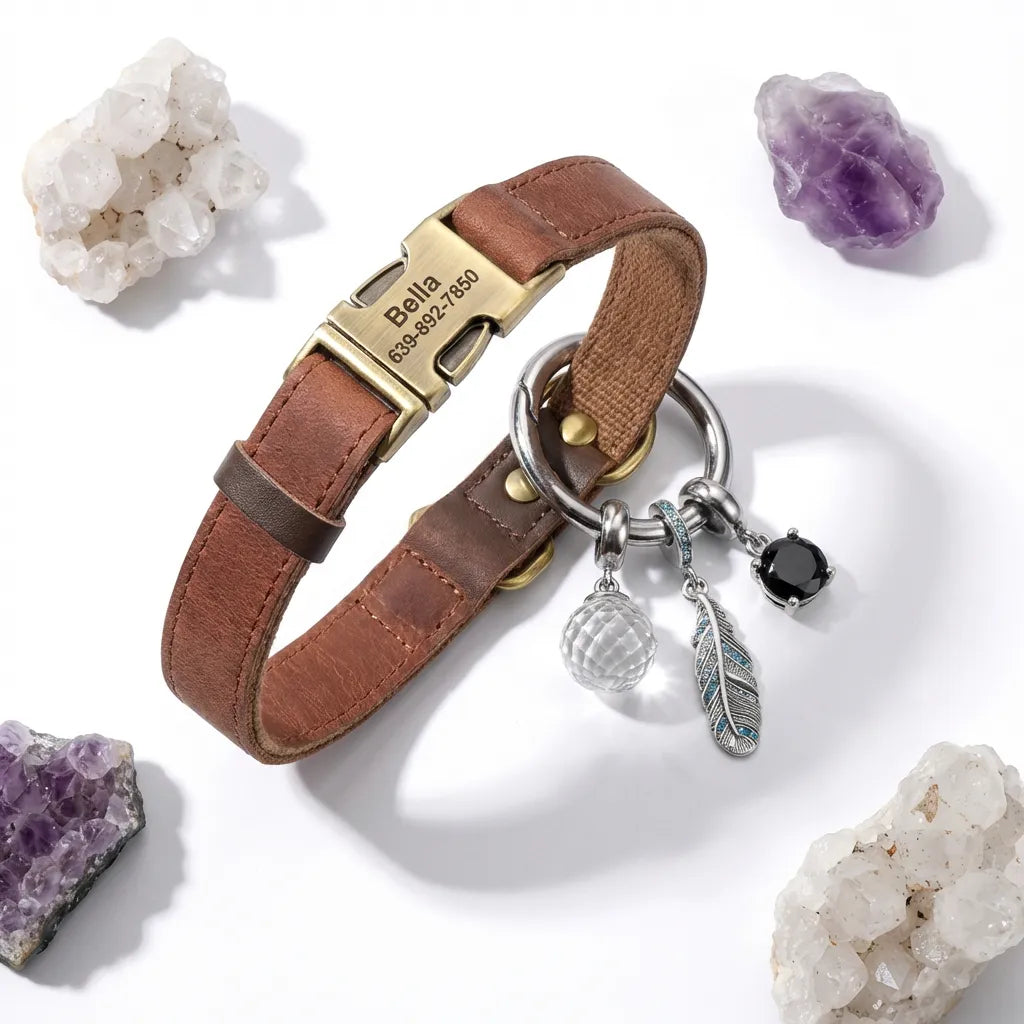 Brown leather dog collar with gold tag and charms on a white background with crystals.