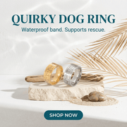 Quirky dog ring with gold and silver bands on a stone surface with sand and palm leaves.