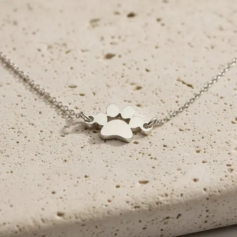 Gold necklace with paw print charm and 'Molly' engraving on a soft beige background