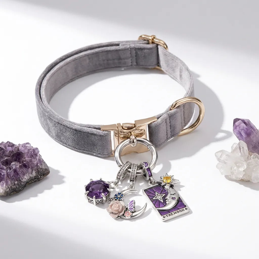 Gray dog collar with gold hardware and charms on a white background with crystals.