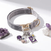 Gray dog collar with gold hardware and charms on a white background with crystals.