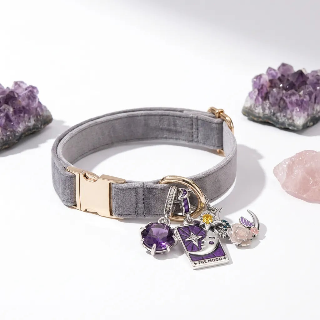 Gray dog collar with purple charms on a white background