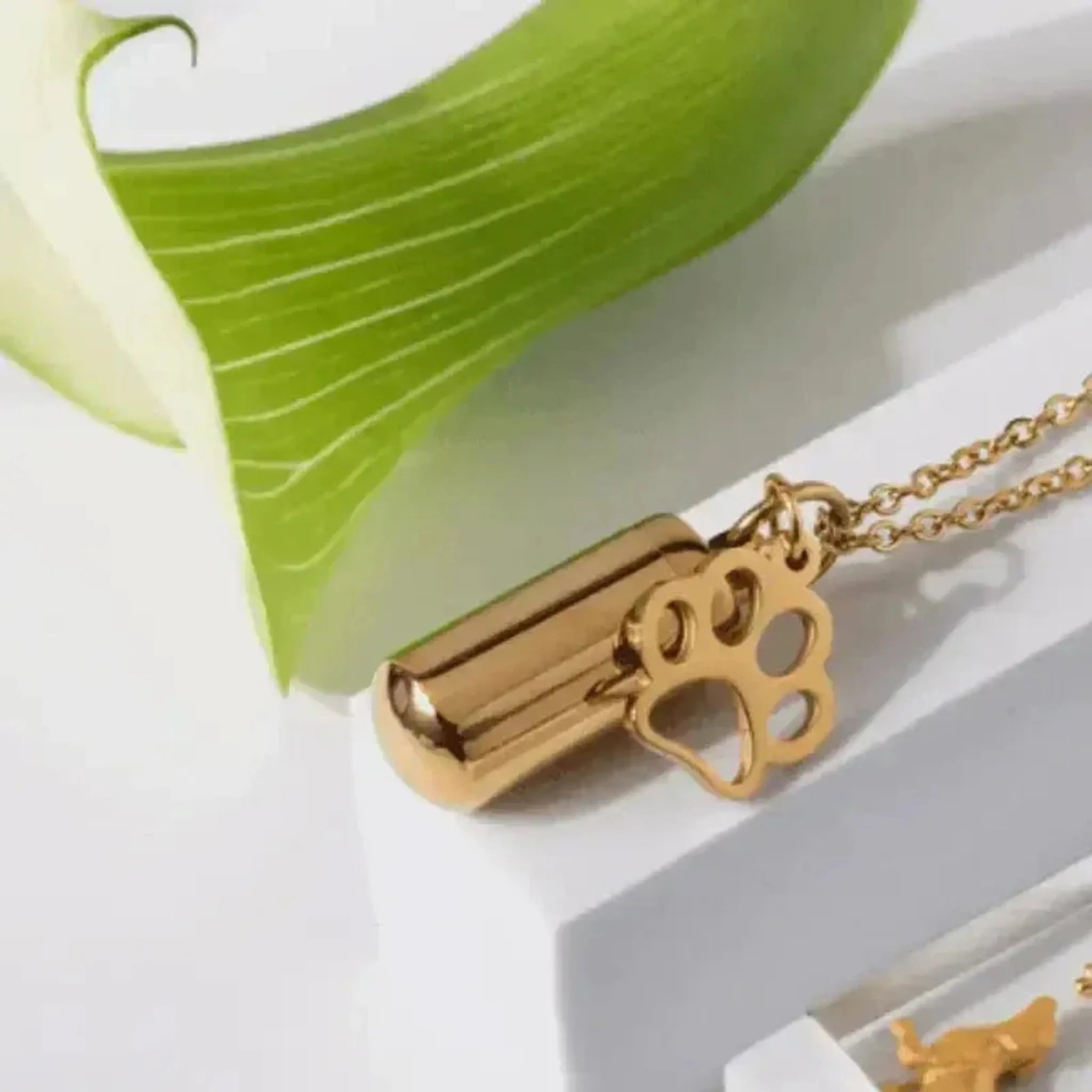 gold urn necklace with paw for ashes